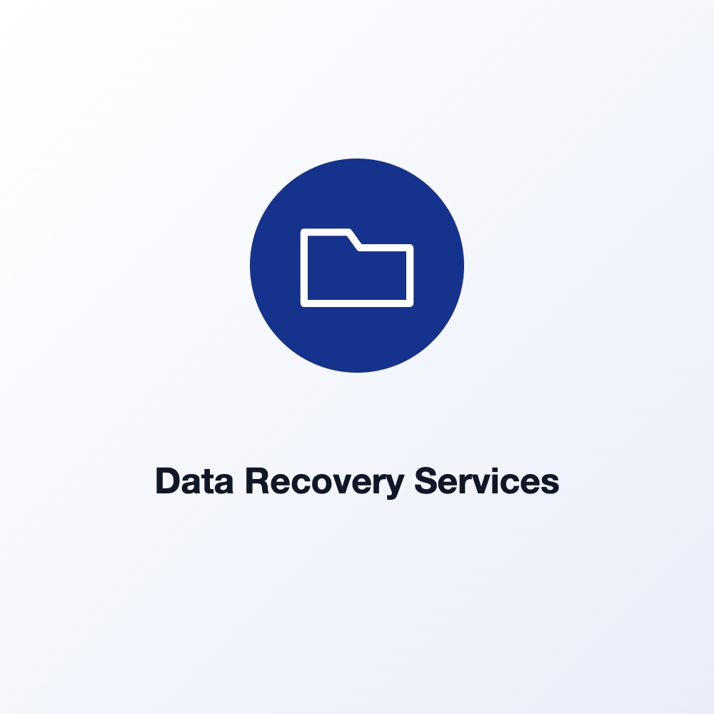 Data Recovery Services (Standard data recovery)